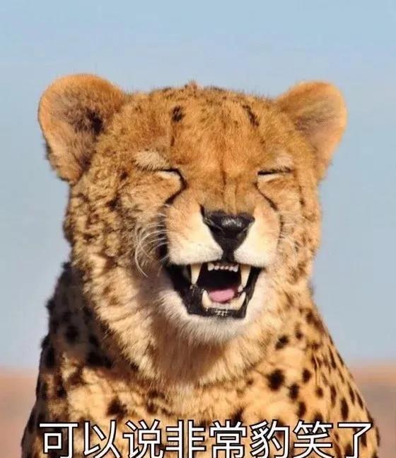 吴京式土情话｜简单却最能打动人心