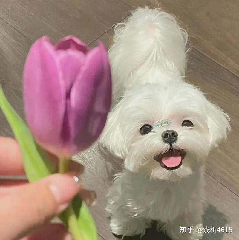 那些藏在日常里的英文告白丨温柔到心尖发烫