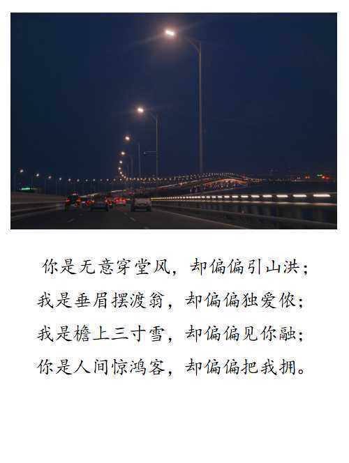 在文字的荒原上，与你相遇—王小波式的文艺情话