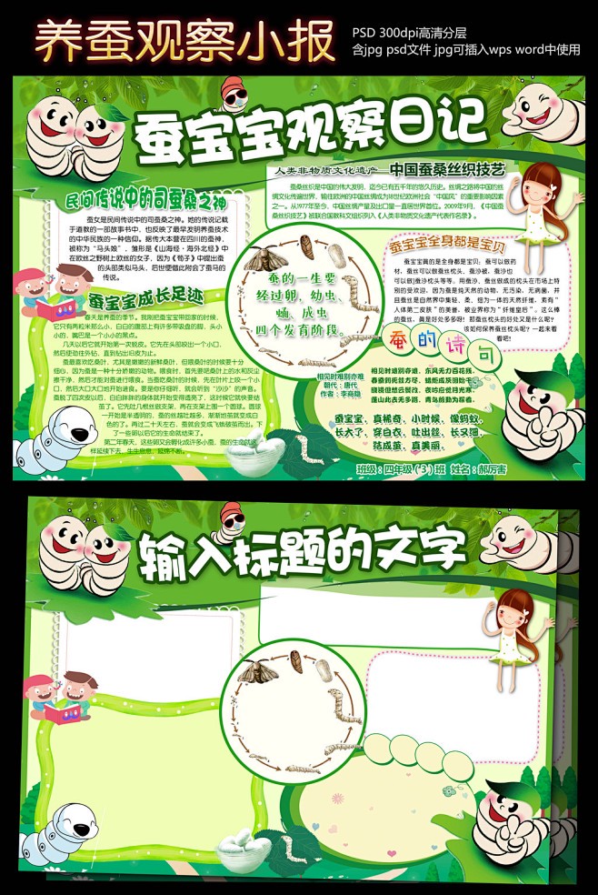 蚕宝宝观察日记|生命的奇迹 蚕宝宝观察日记|生命的奇迹