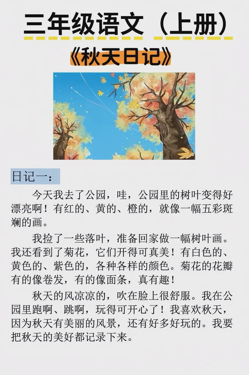 秋天的惊喜｜收获与感悟