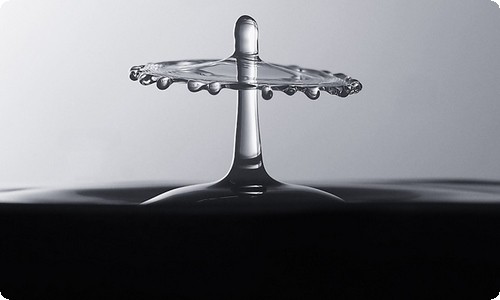 绿叶的秘密 绿叶的秘密