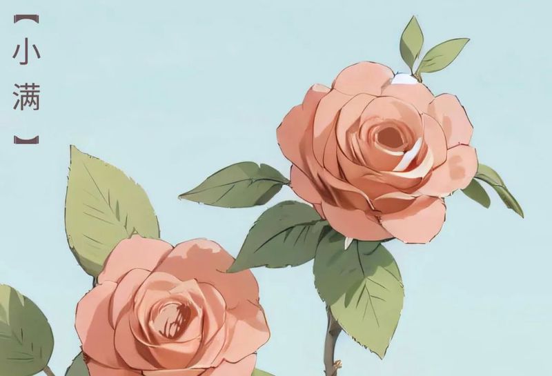 古风细语·那些藏在旧句里的“我爱你”