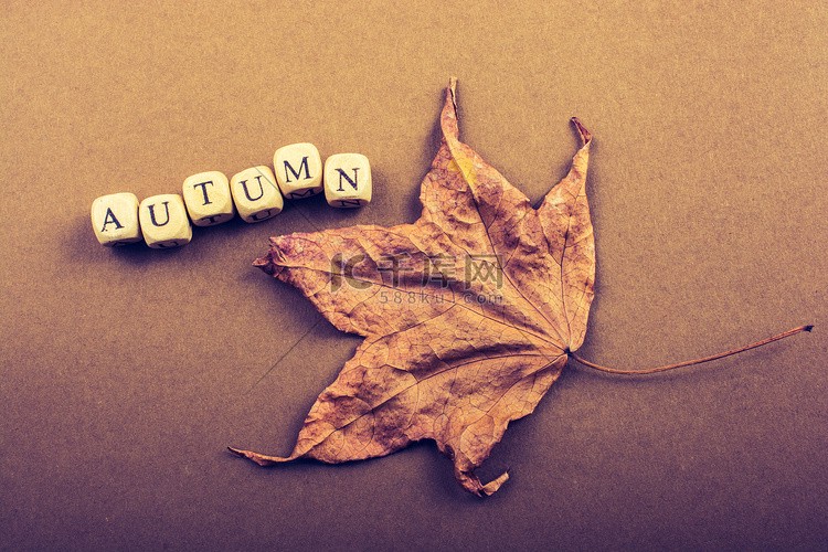 秋雨中的日常碎片？