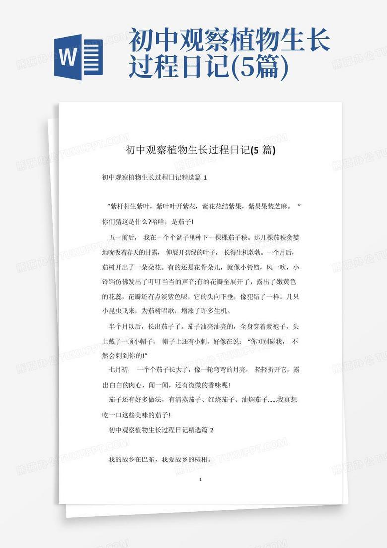 种下的不只是番茄,是夏天的耐心… 种下的不只是番茄,是夏天的耐心…