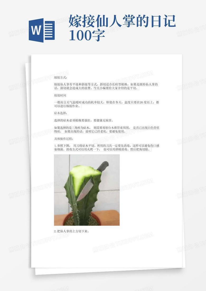 仙人掌的倔强一天…