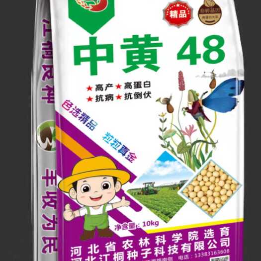 种黄豆的观察日记：从种子到绿芽的奇妙旅程