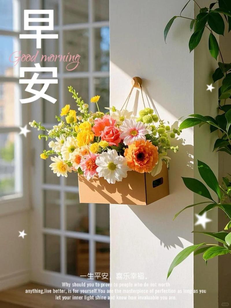 星辰下的誓言—飞船早安情话