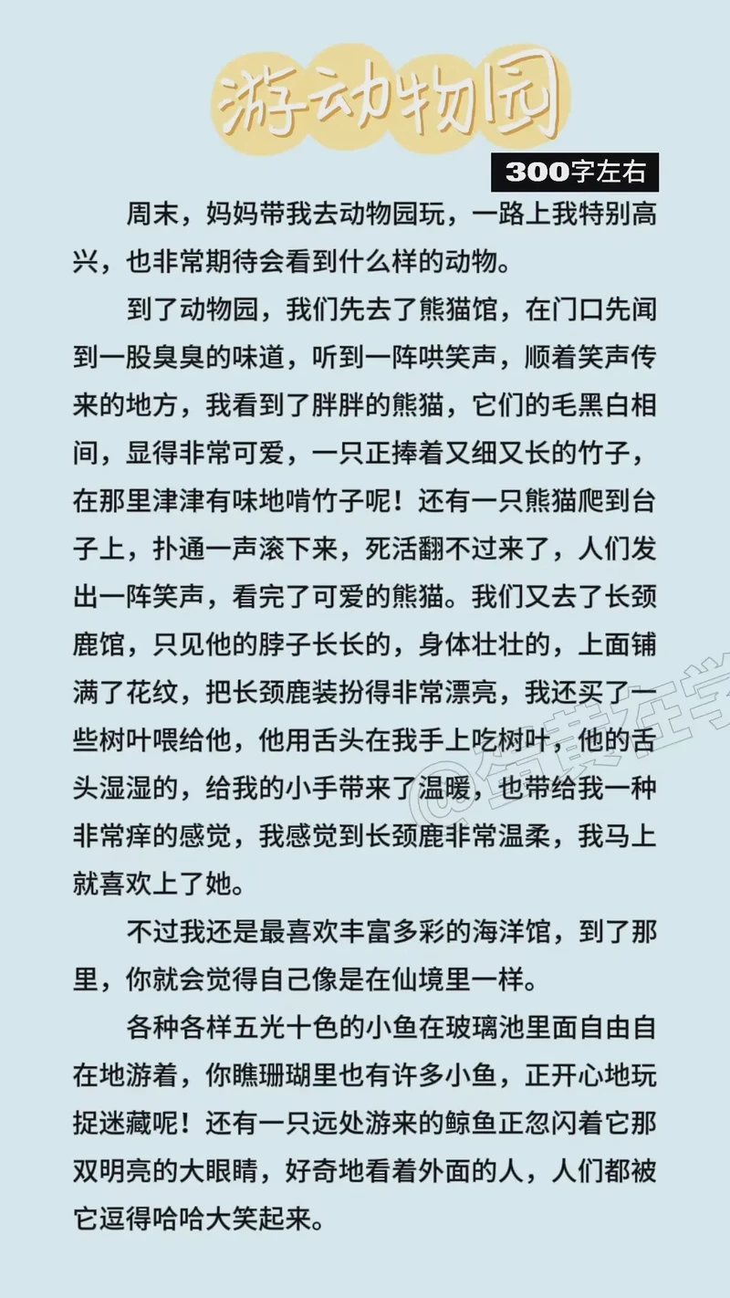 动物园的奇妙一天…