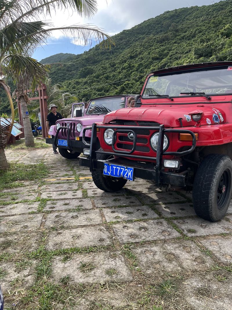 国庆回老家的奇妙旅程丨—2026.03.08