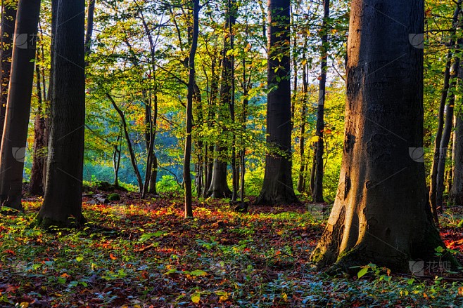 秋天的颜色，心情的颜色？
