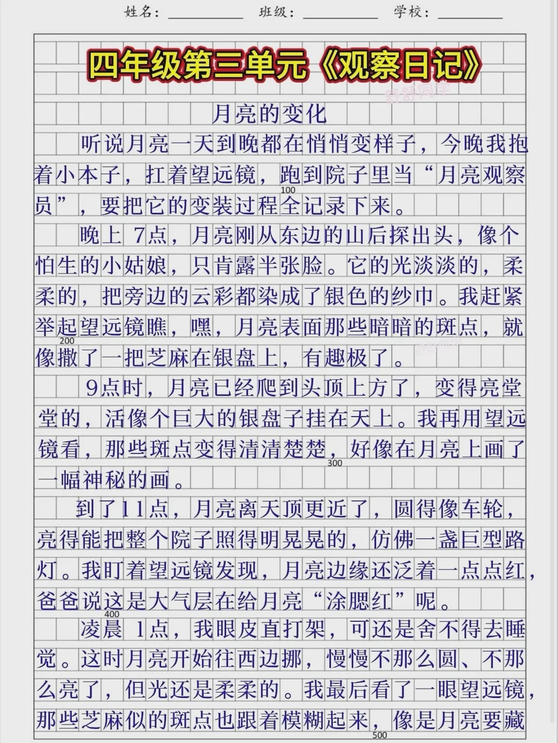 小豆芽的奇妙旅程…