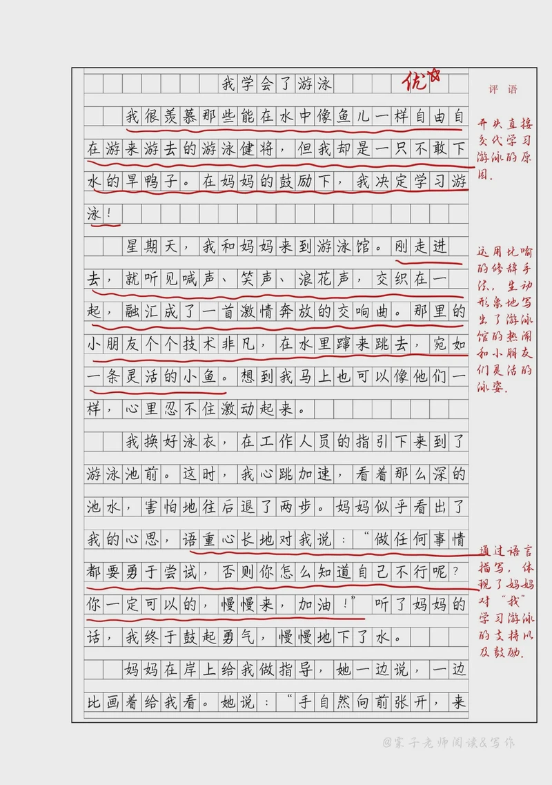 泳池里的夏日清凉！