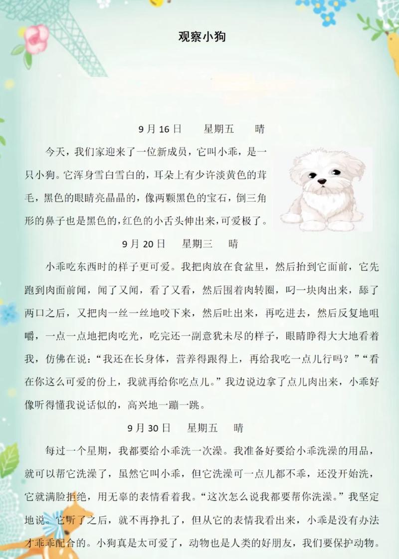 发现厨房里的秘密…