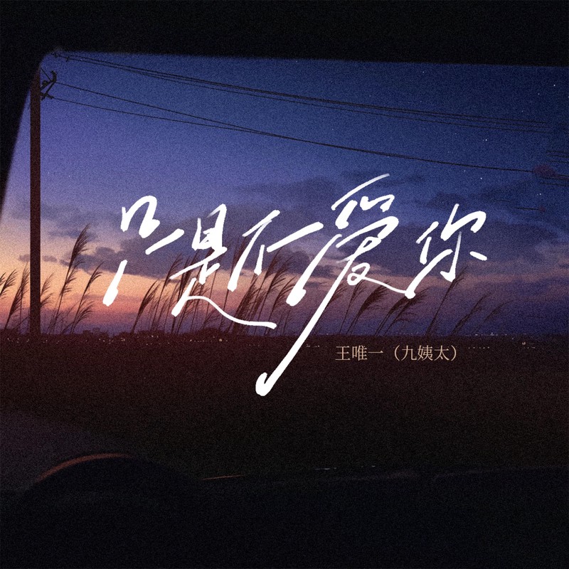 字里行间藏深情，贺字编织爱的诗篇？