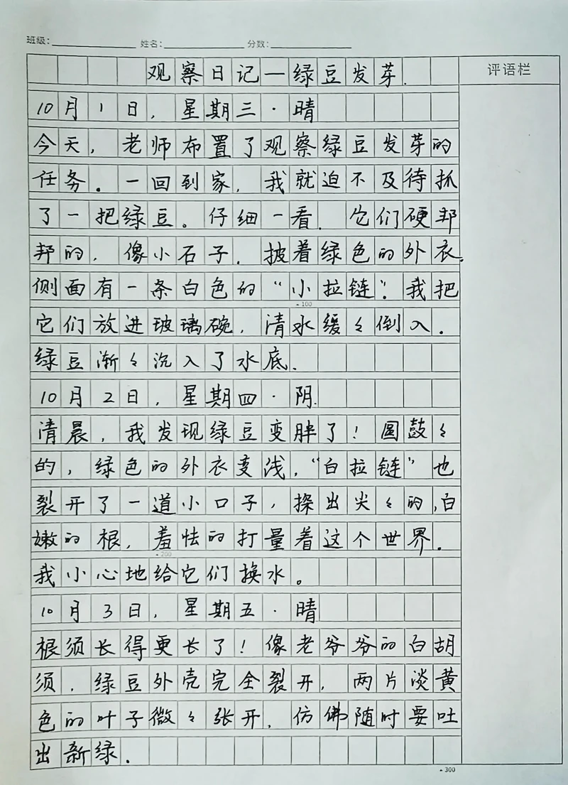 夜空中最亮的星，今天对我说了话…