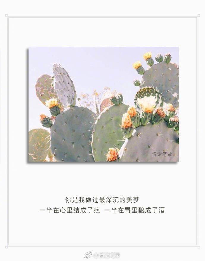 无名指上的情话：那些藏在指尖的爱意