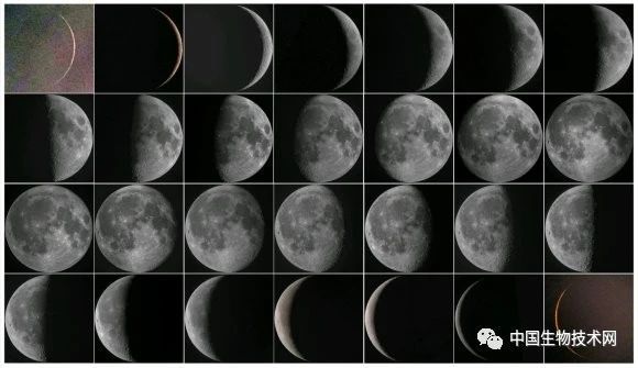 阳台上的月亮—今晚它像把弯刀