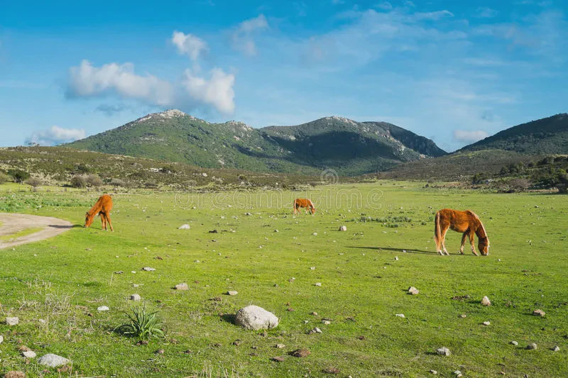 在时光里轻轻说：许广平式的情话