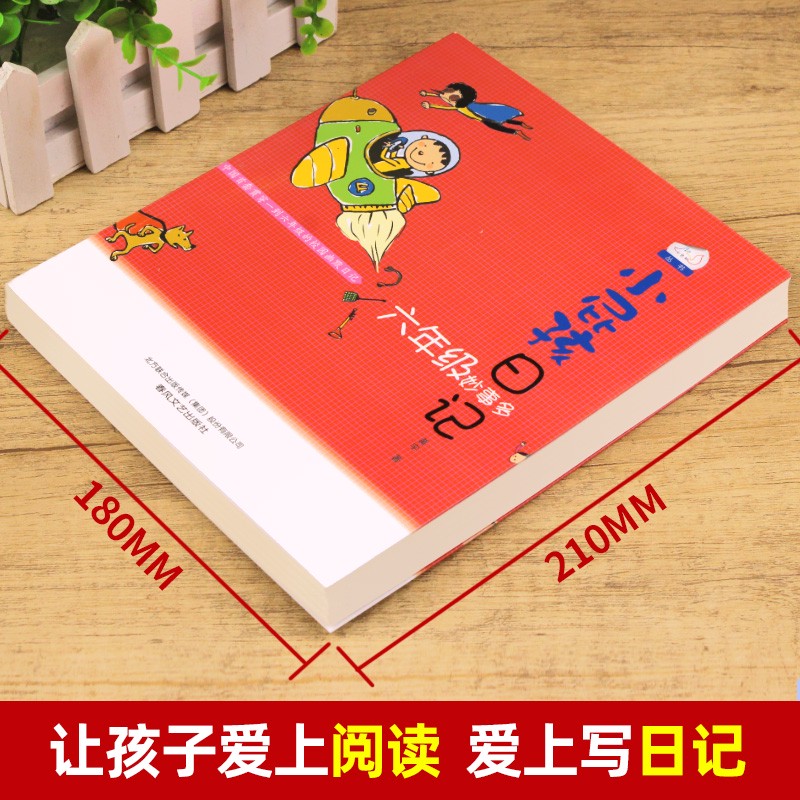 今天，我与小猫的奇妙冒险！