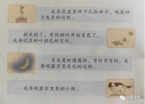 花语—一瓣一世界