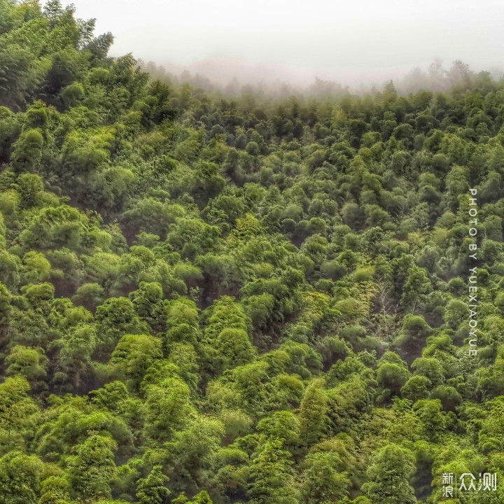 那天，我终于在黄山看见了云海…