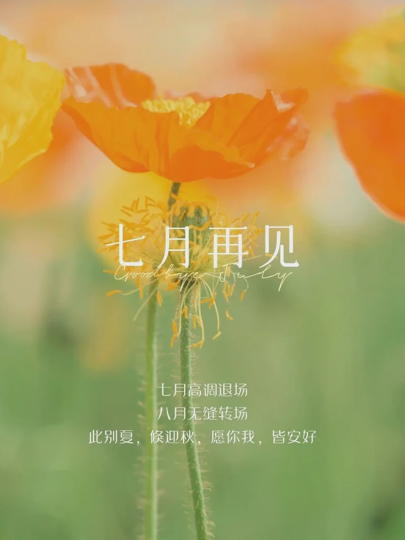 2019早安经典情话！