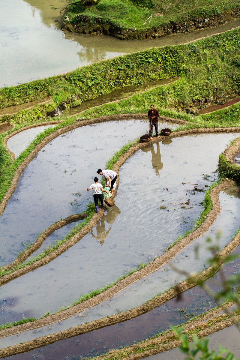 逃离城市喧嚣，去田里撒个野—我的田间日记