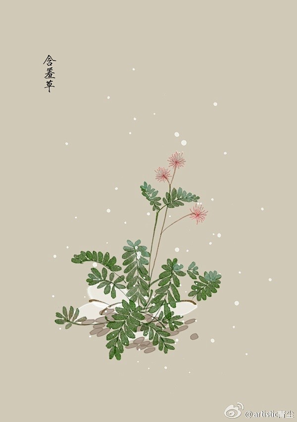 花开花落,我在这里静静聆听… 花开花落,我在这里静静聆听…