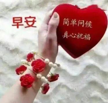 清晨货柜里的温柔告白：那些藏在日常里的早安情话