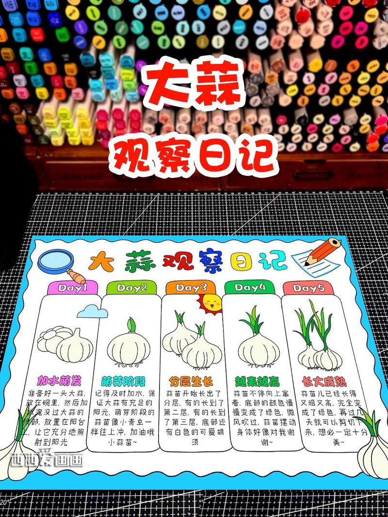 蒜苗的生长日记｜从泥土到绿意