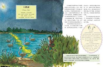 公鸡的日记丨被剪了羽毛的清晨