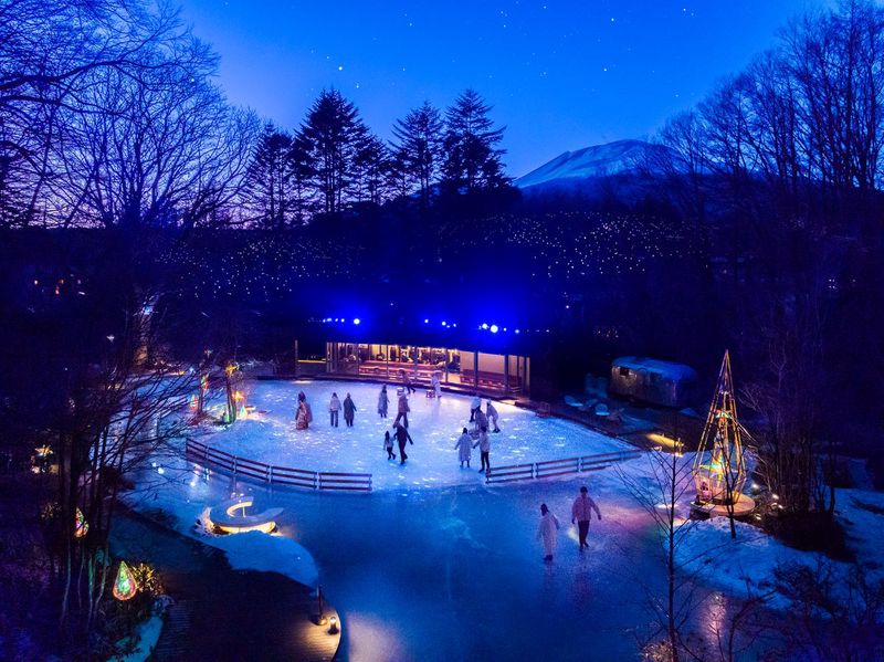 冰上舞者，滑出快乐时光！