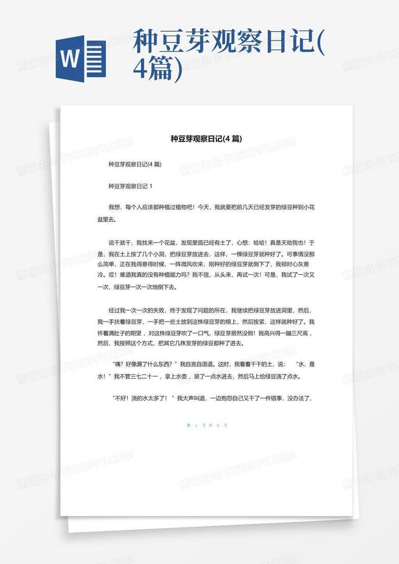 阳台上的小萝卜丨一场关于等待与惊喜的实验