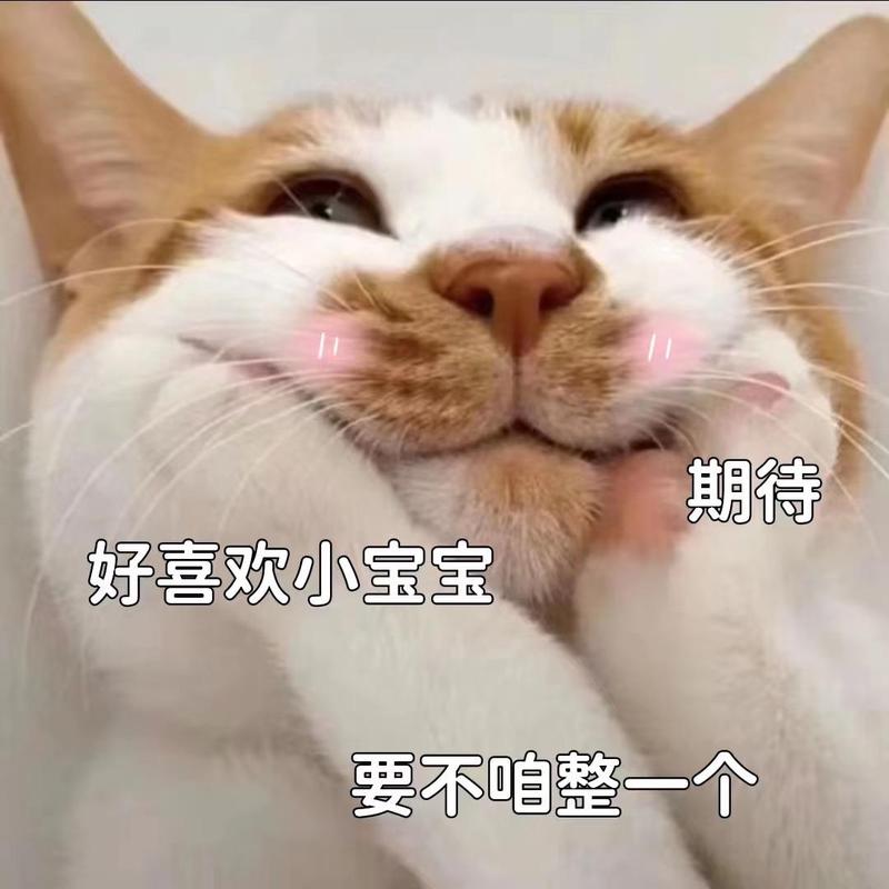 奶糖味的情话丨甜蜜又温柔的心动瞬间