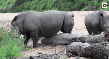 屁股痒了,心却暖了|那些藏在身体小细节里的情话 屁股痒了,心却暖了|那些藏在身体小细节里的情话
