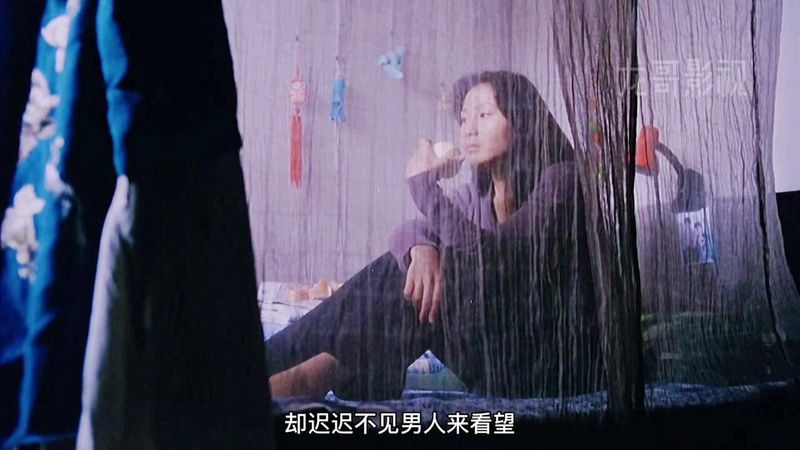 那年夏天的巧克力与蝉鸣