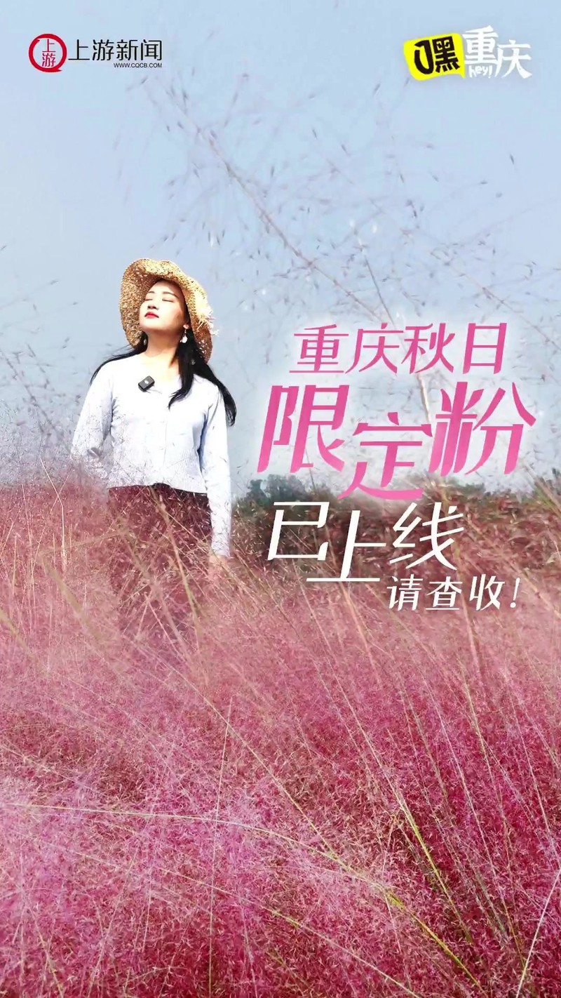 在重庆的雾中，遇见你，便是最温柔的风景？