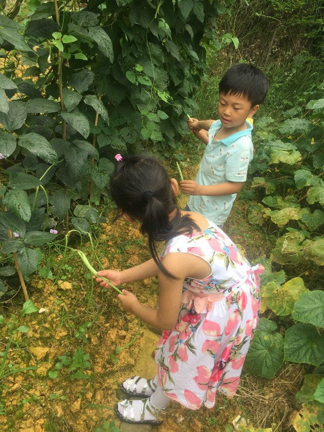 黄豆宝宝的奇妙旅行！