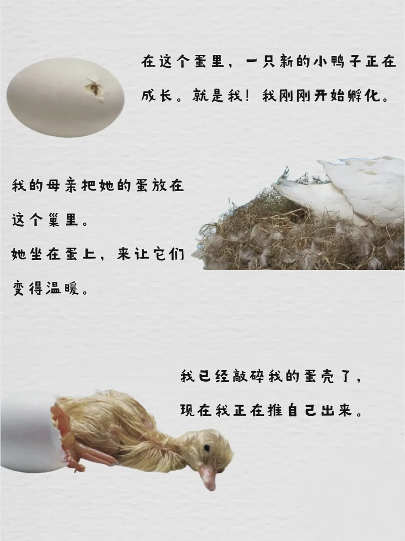 纸上的墨迹还没干，就被一滴水打湿了…