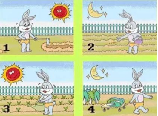 今天在公园遇见了小兔子…