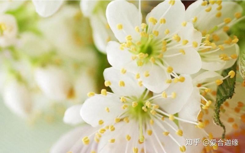 2019年最动人的10句情话，句句都是心动的证明…