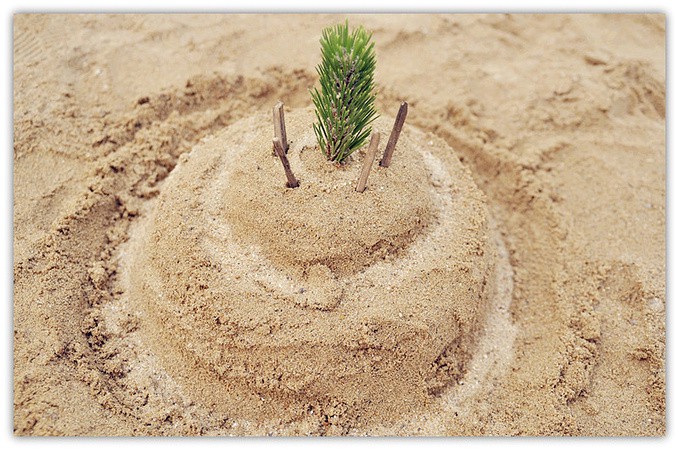 沙滩上的下午：一场与沙的较量