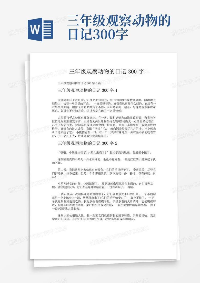 小区里的猫猫观察日记？