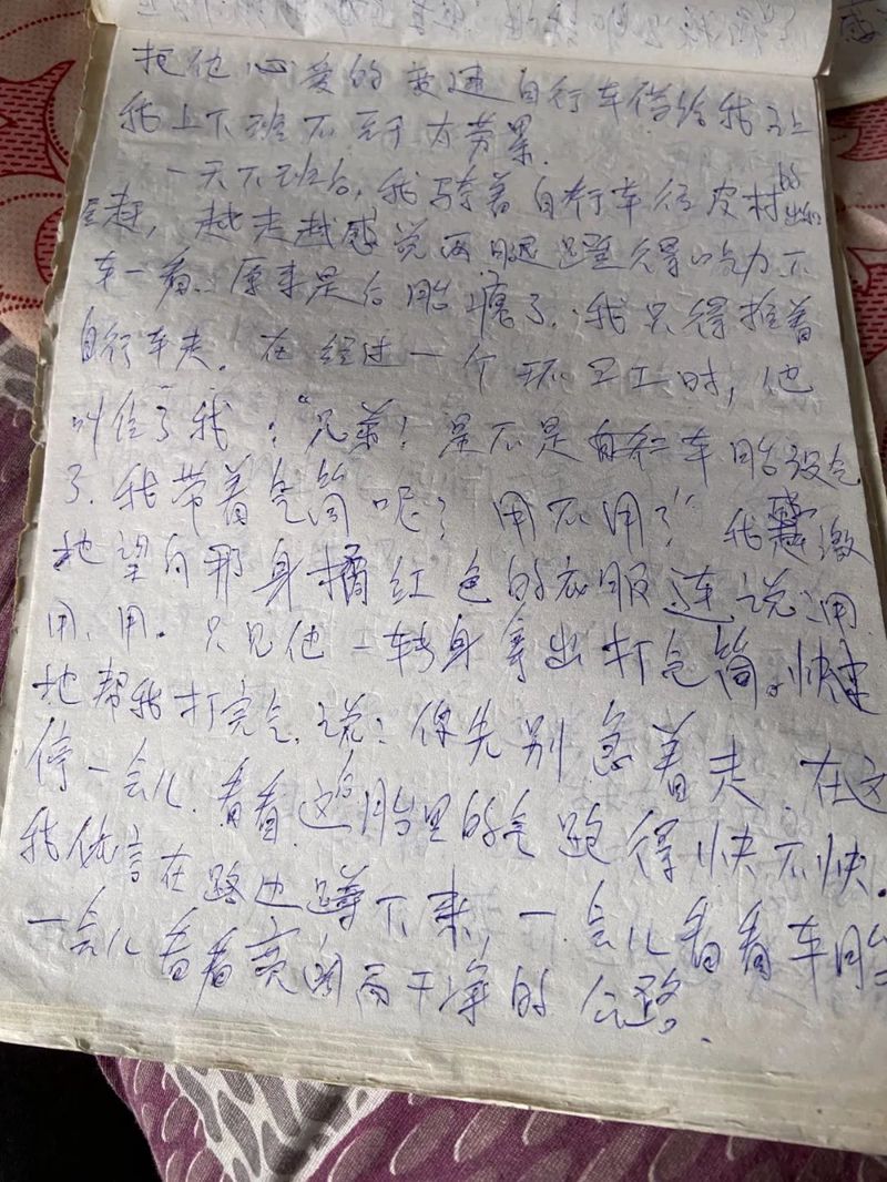 回老家日记300字！