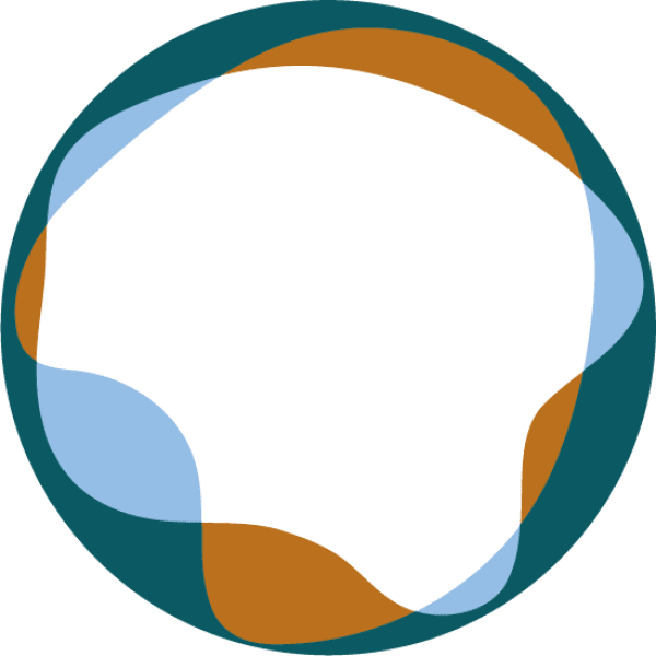 秋风里的校园小记！