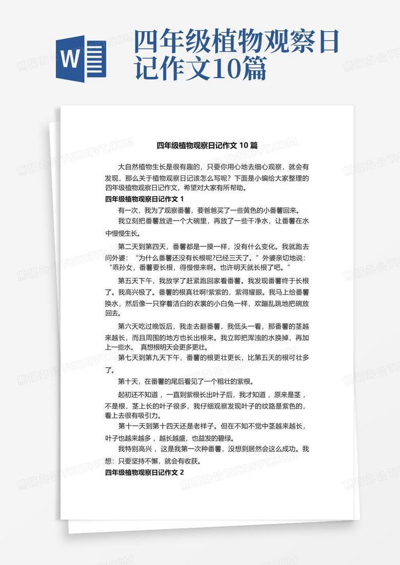 四叶草的奇妙一天！