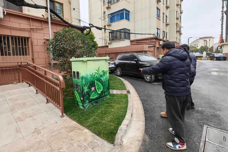 楼道里的老张和他那盆蔫了的绿萝？