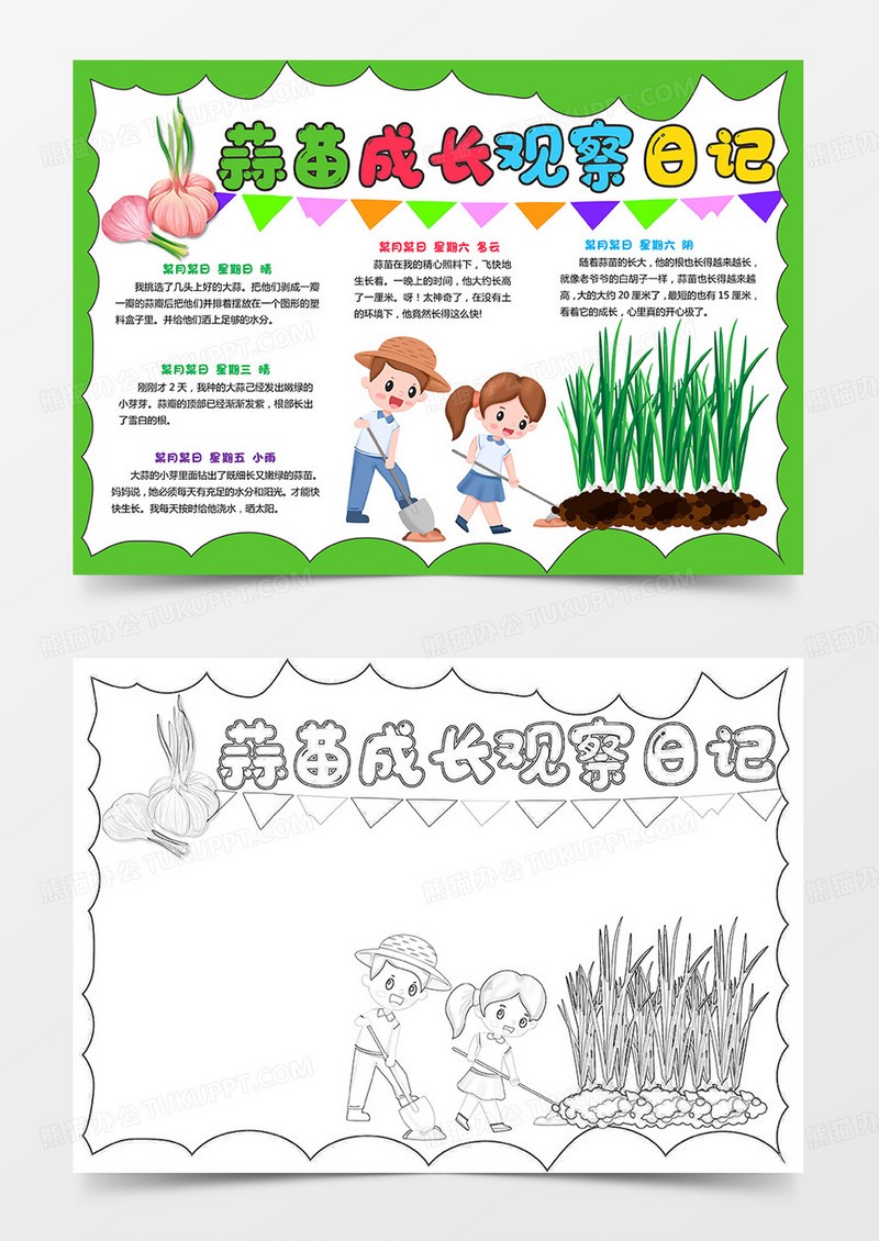 日出的奇迹—黎明前的宁静与希望