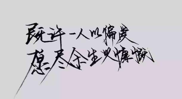 一辈子的情话｜藏在日常里的温柔